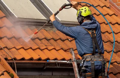 Démoussage et hydrofuge de toiture à Mussig